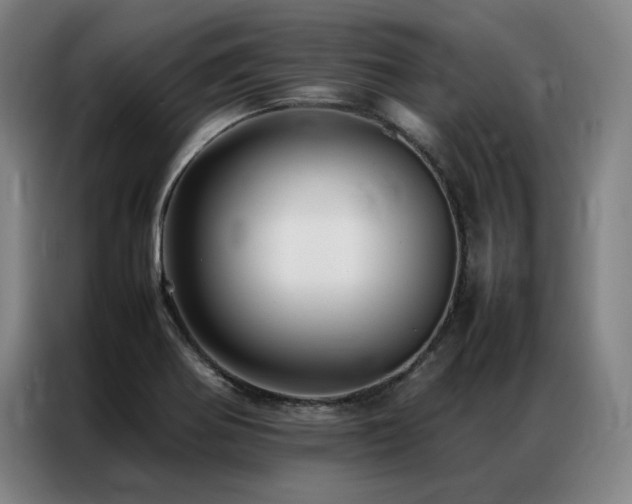 X0000087371370200704201220