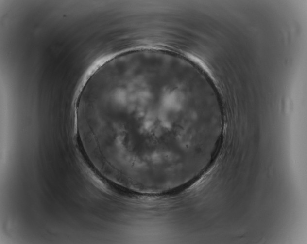 X0000087371371200704201220