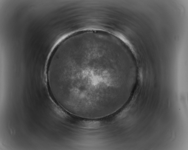 X0000087371372200704201220