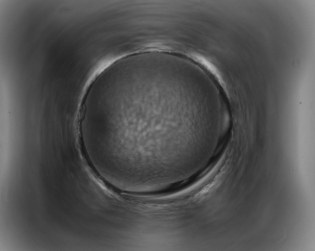 X0000087371373200704201220