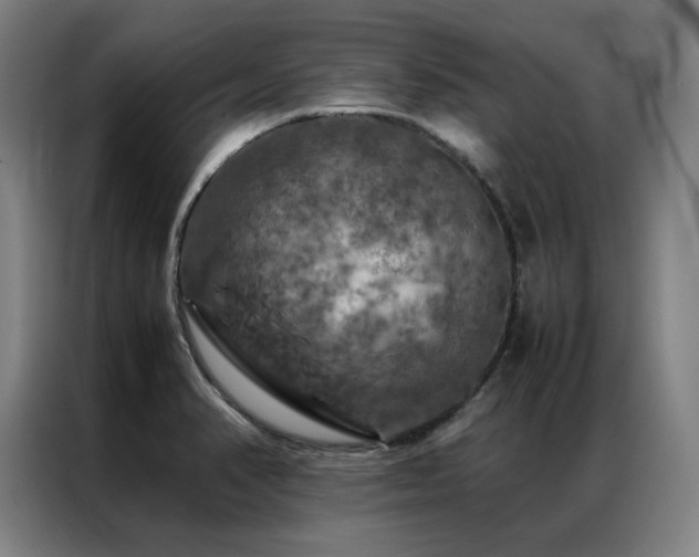 X0000087371374200704201220