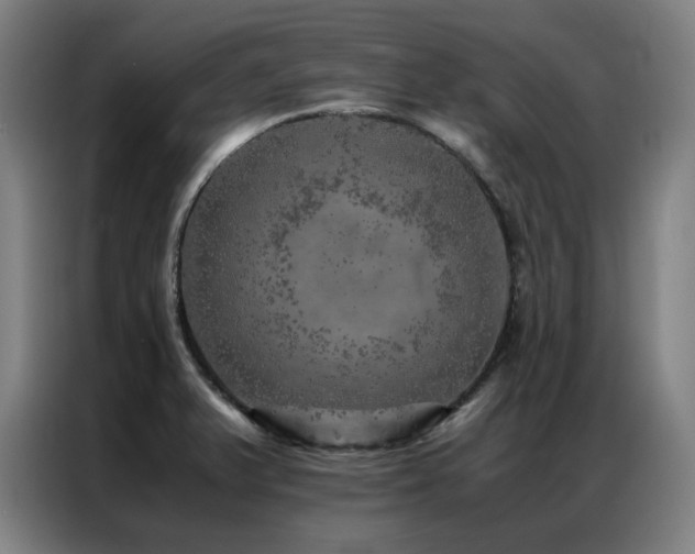 X0000087371375200704201220