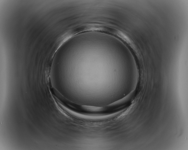 X0000087371377200704201220