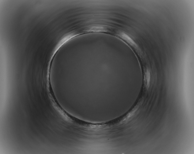 X0000087371378200704201220