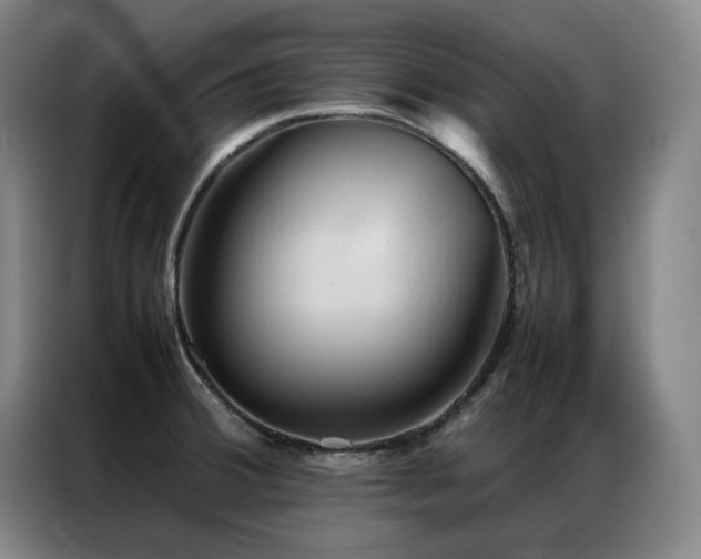 X0000087371380200704201220