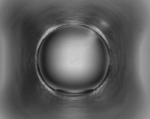 X0000087371381200704201220