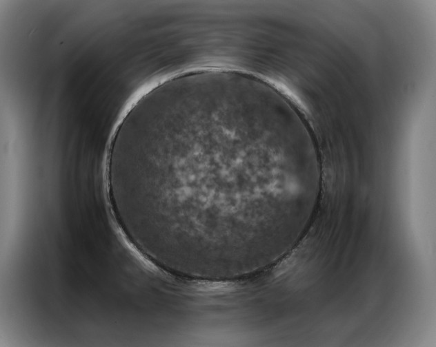 X0000087371382200704201220