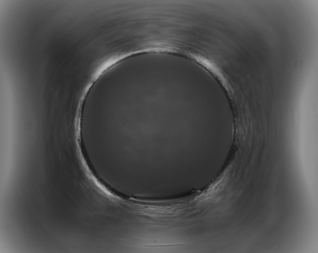 X0000087371383200704201220