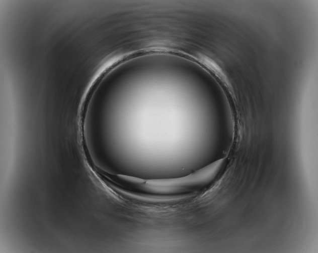 X0000087371384200704201220