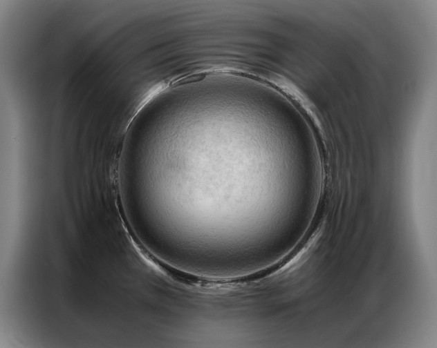 X0000087371385200704201220