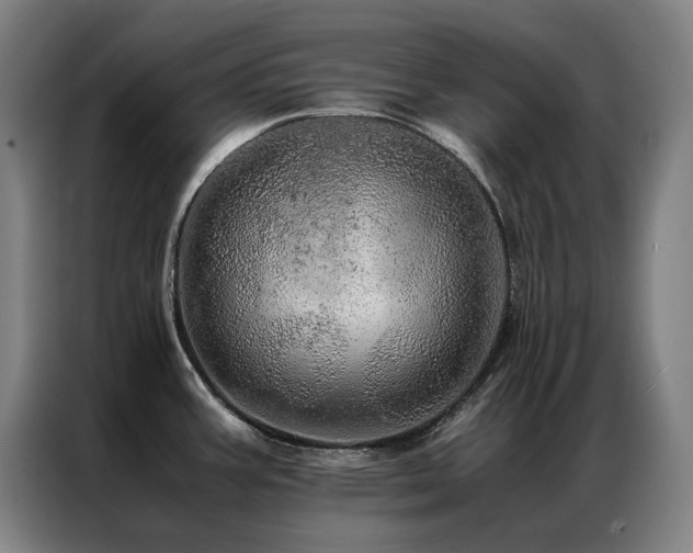 X0000087371387200704201220