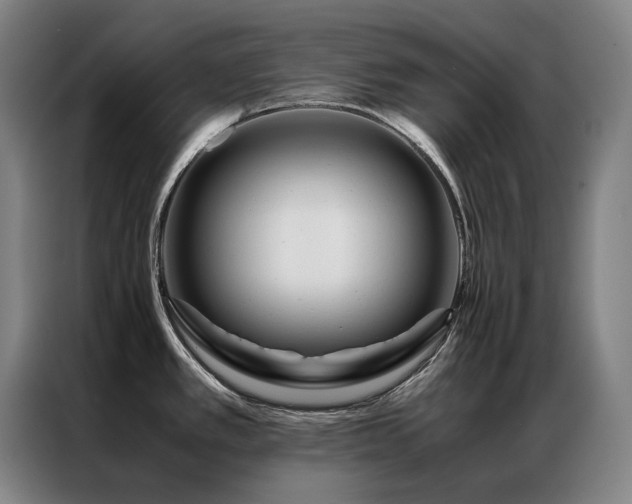 X0000087371389200704201220