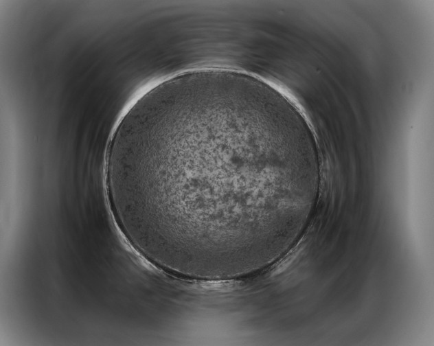 X0000087371390200704201220