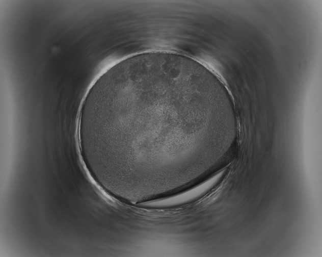 X0000087371391200704201220