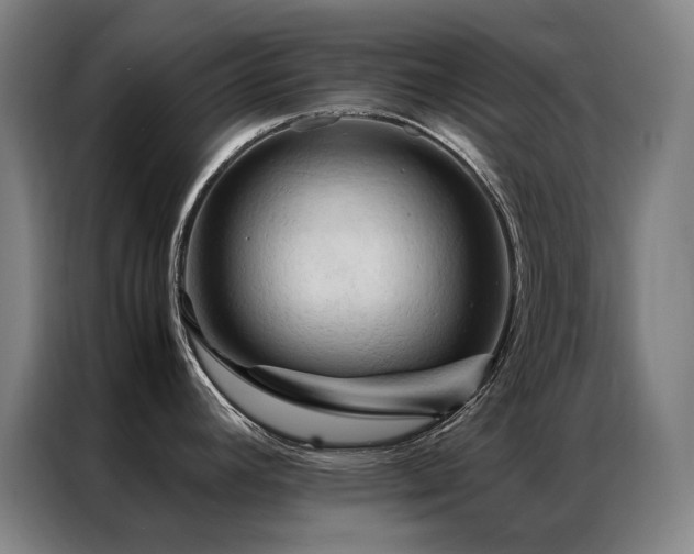 X0000087371392200704201220