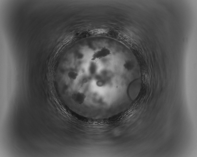X0000087371393200704201219