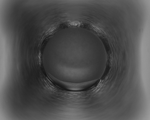 X0000087371394200704201219