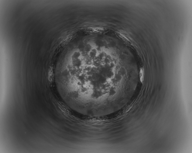 X0000087371395200704201219