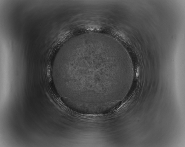 X0000087371396200704201219