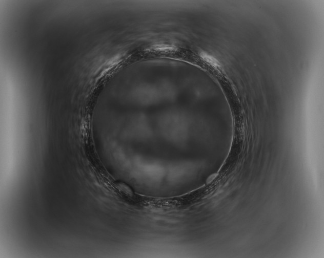 X0000087371397200704201219