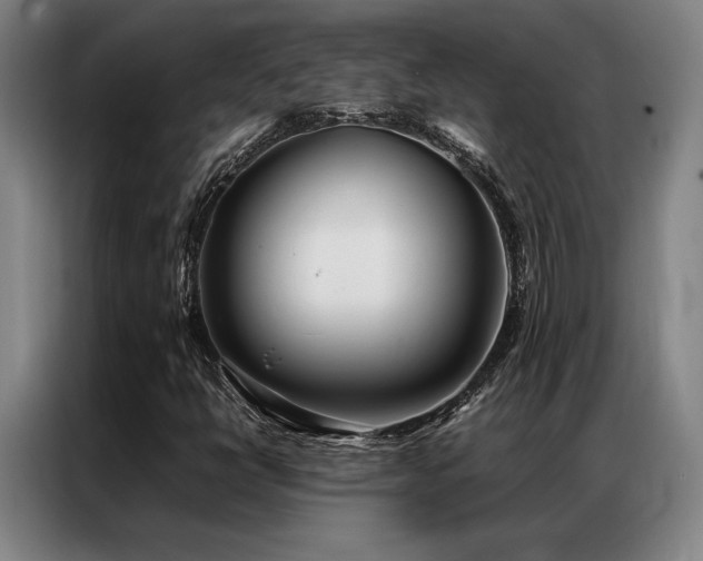 X0000087371398200704201219