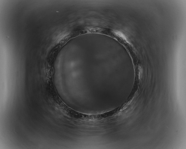X0000087371399200704201219