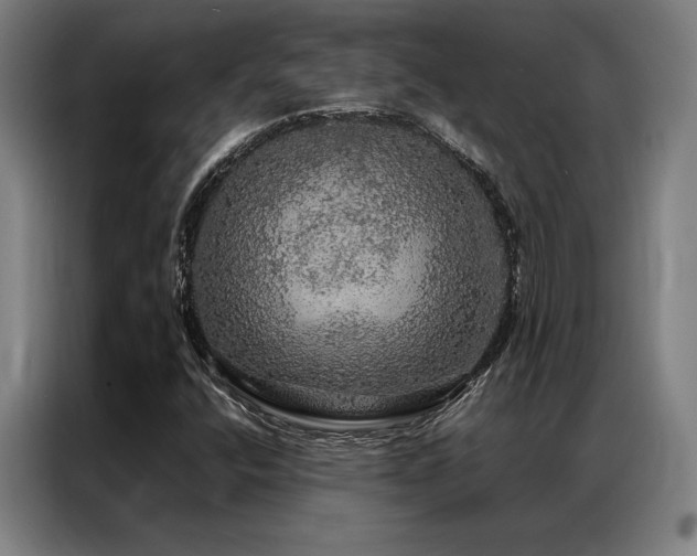 X0000087371400200704201219