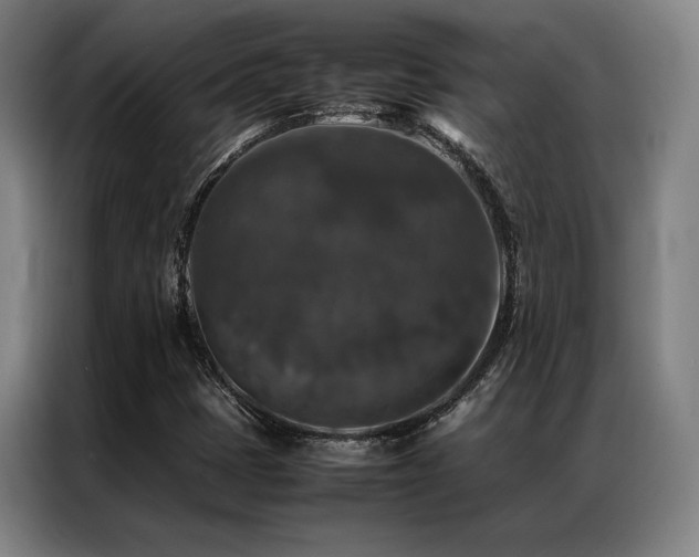 X0000087371401200704201219