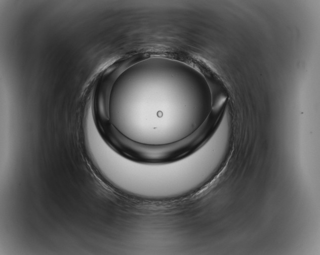 X0000087371402200704201219