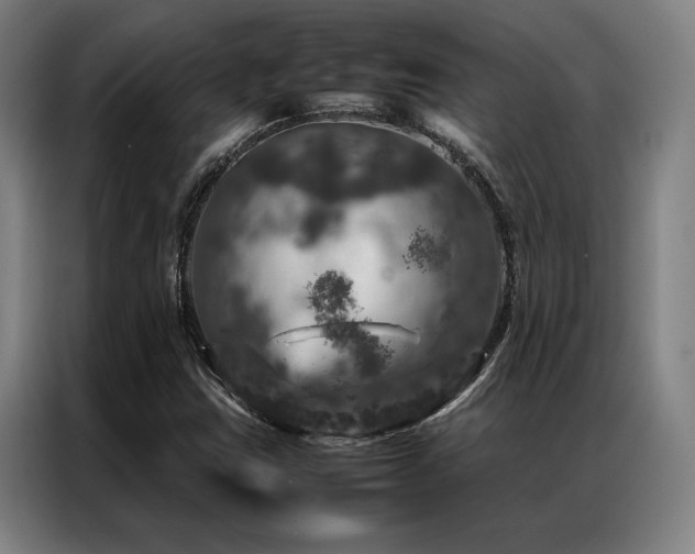 X0000087371403200704201220