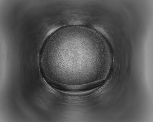 X0000087371404200704201220