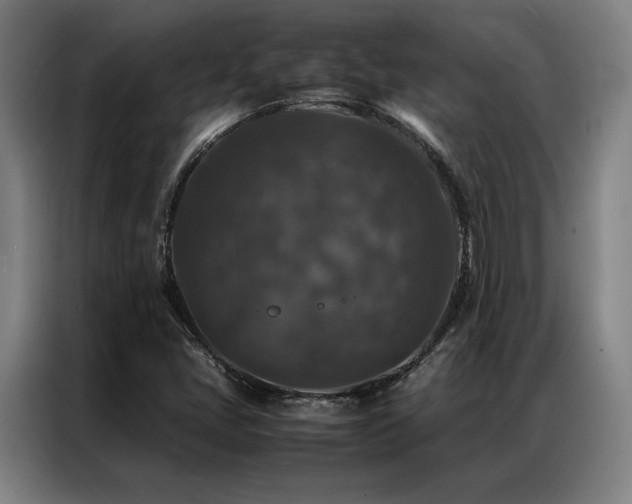 X0000087371405200704201220