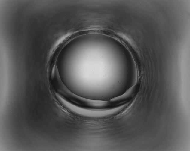 X0000087371406200704201220