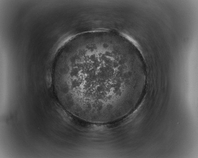 X0000087371407200704201220