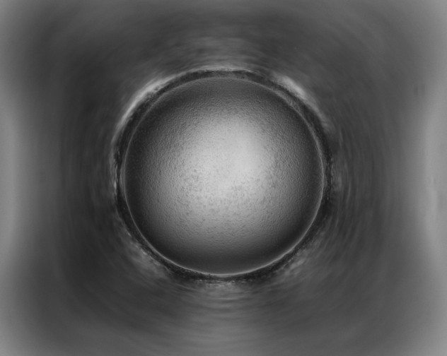 X0000087371408200704201220