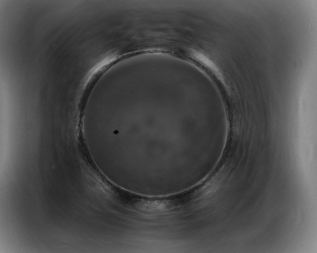 X0000087371411200704201220