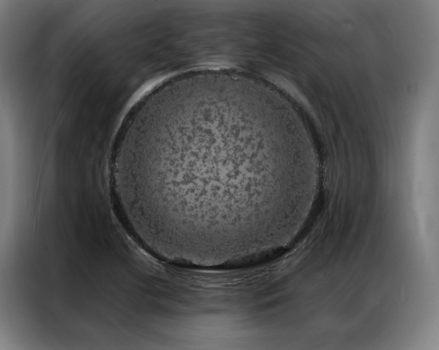 X0000087371412200704201220