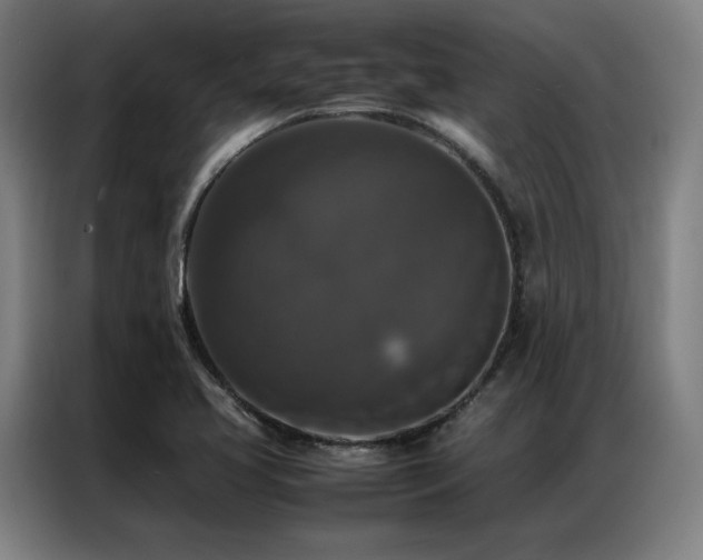 X0000087371413200704201220