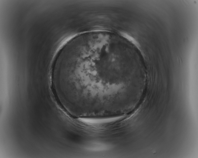 X0000087371415200704201220