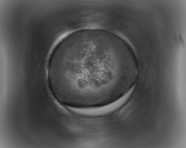 X0000087371416200704201220