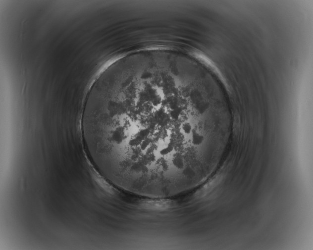 X0000087371417200704201220