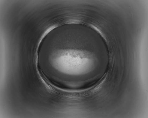 X0000087371418200704201220