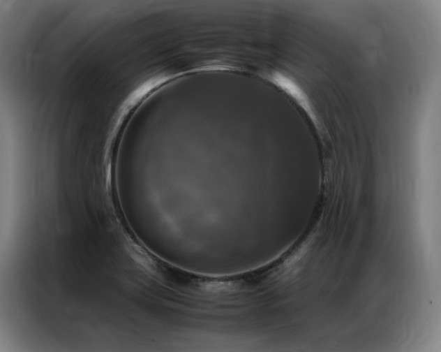 X0000087371419200704201220
