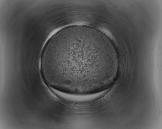 X0000087371420200704201220