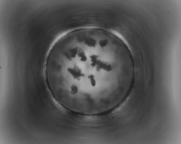 X0000087371421200704201220