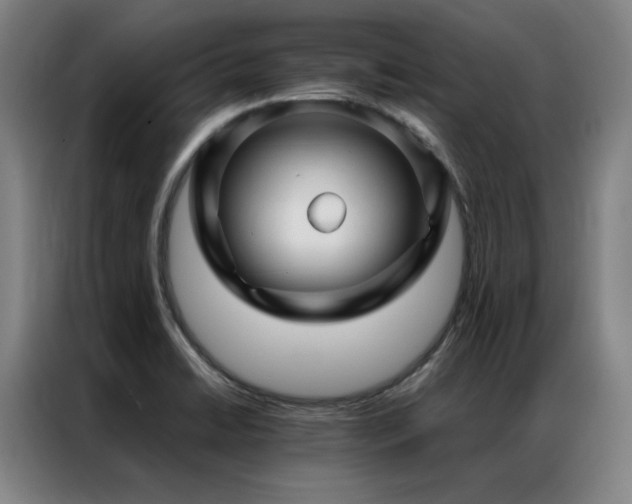 X0000087371422200704201220
