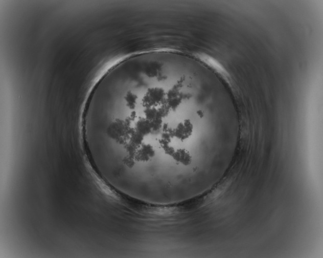 X0000087371423200704201220