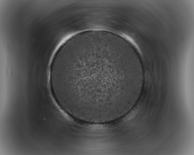 X0000087371424200704201220