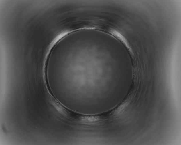 X0000087371427200704201220