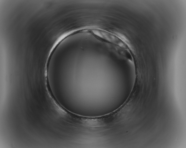 X0000087371428200704201220